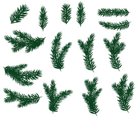 Collection Set of Realistic Fir Branches Silhouette for Christmas Tree, Pine. Vector Illustration.eps © MariamJahan