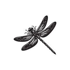 Dragonfly Vector (2).eps