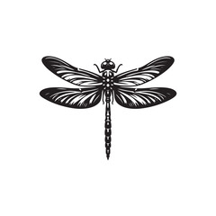 Dragonfly Vector (3).eps