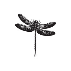 Dragonfly Vector (4).eps