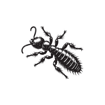 black ant detailed drawing on white clip art preview