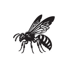 Wasp Vector (1).eps