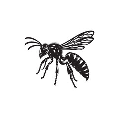 Wasp Vector (2).eps