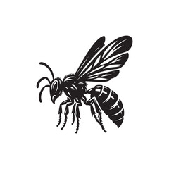Wasp Vector (3).eps