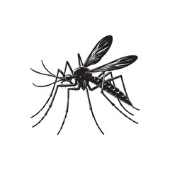 Water Strider Vector (4).eps