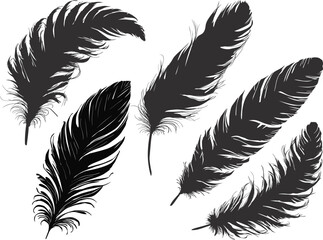 five medium black silhouettes of feathers isolated on white