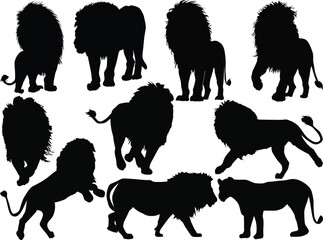 ten white lions isolated on white background