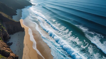 coast squeak sea sun