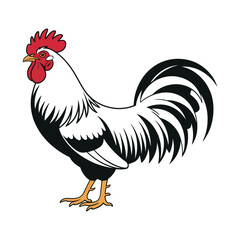 Rooster illustration in flat minimal color style

