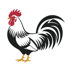 Rooster isolated on white background