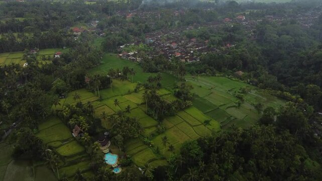 Multiple views of Bali