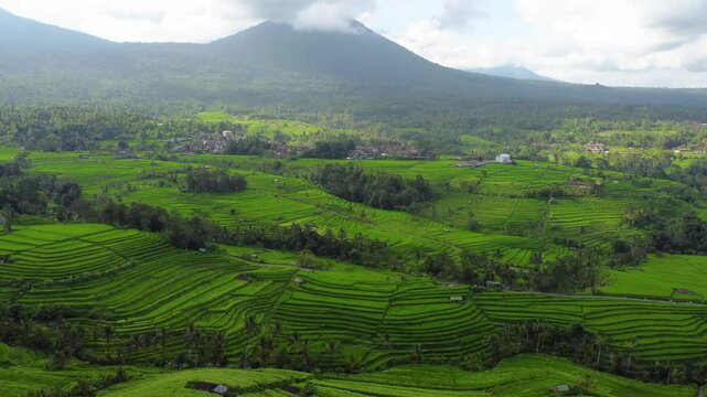 Multiple views of Bali