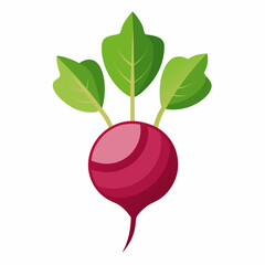 Minimal Beetroot Blossom Design