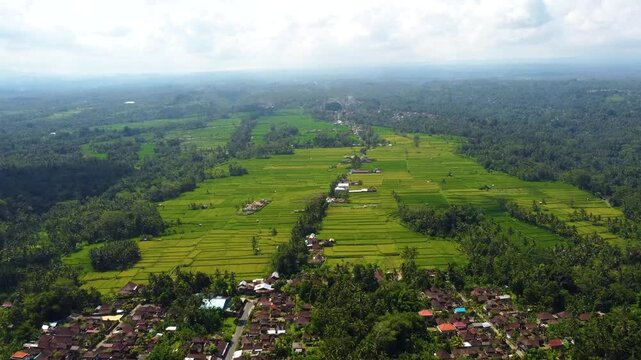 Multiple views of Bali