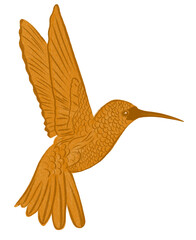 hummingbird illustration