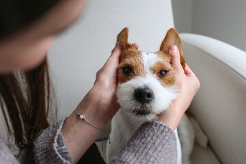 Young woman playing with her dog at home. Copy space, background.