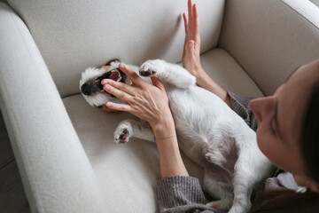 Young woman playing with her dog at home. Copy space, background.