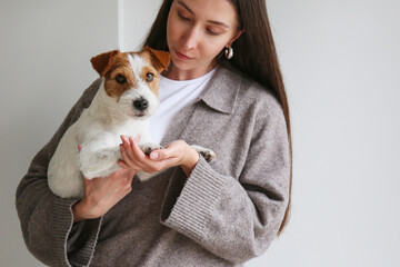 Brunette woman holding a dog. Copy space background.