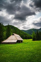 Shepherd's hut in Jaworzynka meadow in Tatra Mountains, Landscape Photography

