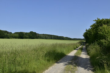 Feldweg und Natur N&auml;he Hildesheim