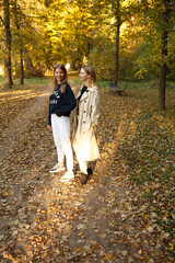 Fototapeta premium Two friends pose together in a golden autumn park, enjoying the warm light and cozy atmosphere of a beautiful day.