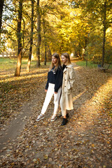 Fototapeta premium Two friends walk together in a sunny autumn park, chatting and enjoying the warm day surrounded by golden foliage.