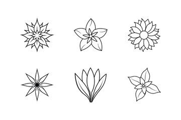 Line art vector illustration set of sea holly stephanotis sunflower blazing crocus jasmine Line Art Vector illustration