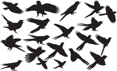 Cuckoo Silhouettes Vector Pack