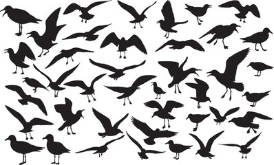 Gull Silhouettes Vector Pack