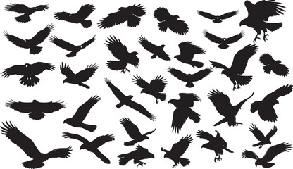Hawk Silhouettes Vector Pack
