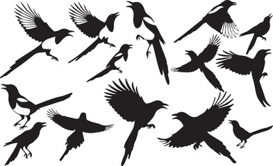 Magpie Silhouettes Vector Pack