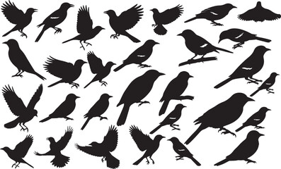Oriole Silhouettes Vector Pack