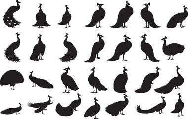 Peacock Silhouettes Vector Pack