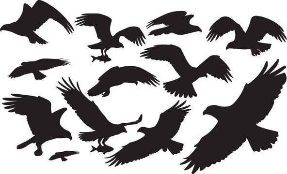 Osprey Silhouettes Vector Pack