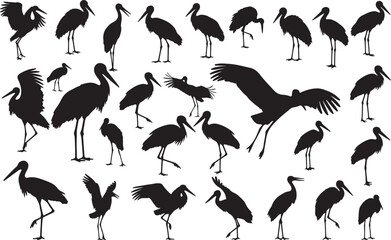 Stork Silhouettes Vector Pack