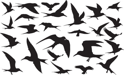 Tern Silhouettes Vector Pack