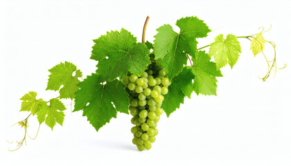 8-Bit Retro Pixel Wine Illustration Isolated on White Background for Classic Game Beverage Art and Vintage Pixel Design