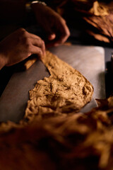 Cigar Maker Rolling Tobacco Leaf