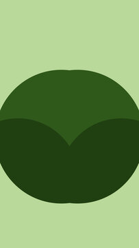 Circles 5 Styles Flat 3 Colors Vertical Transitions 2 MOGRT 485