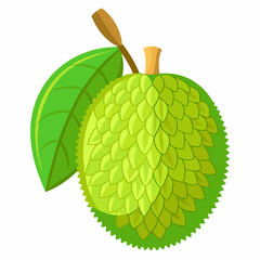 Minimal Jackfruit Vector on White