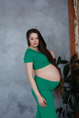 Naklejka premium Pregnant woman in top and green trousers with very long hair on grey background. Dreamy tender girl expecting a child. Portrait of beautiful brunette pregnant woman with apples. 
