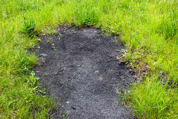 Obraz premium Unovergrown scorched area of ??land, green grass around old fire pit