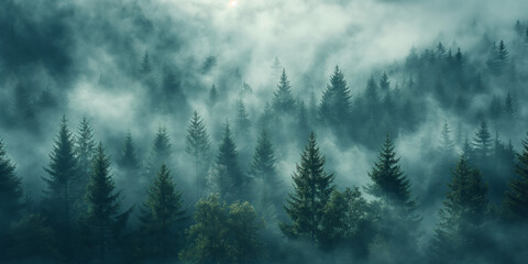 Dreamy haze effect. Mountain pine forest veiled in thick morning fog. Perfect for moody landscapes, nature blogs, or atmospheric artwork.