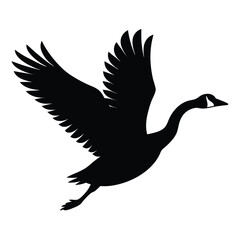 Fototapeta premium Goose bird silhouette vector black and white illustration on a white background