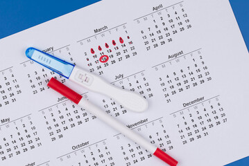 Positive pregnancy test, gynecological ultrasound image and ovulation calendar marked with menstruation and ovulation dates. Fertility tracking, family planning, maternal health, and prenatal care.