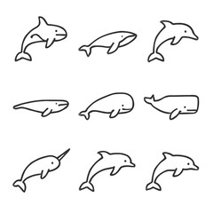 Fototapeta premium Cetacean Line Icons