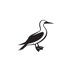 Booby Bird Silhouette Vector Design – Bold Coastal Seabird Graphic Featuring Iconic Pose, Minimalist Black Outline Style, Marine Wildlife Art Perfect for Prints, Logos, and Decor
