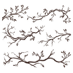 Vintage Branch Thorns Leaves Rustic Decoration for Design Projects