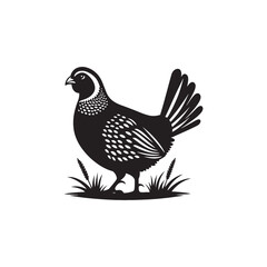 Chukar Partridge Silhouette Vector Design – Elegant Game Bird Artwork Featuring Distinctive Stripes, Bold Stance, Minimal Black Outline Style Perfect for Nature Prints, Logos, and Decor
