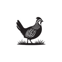 Chukar Partridge Silhouette Vector Design – Elegant Game Bird Artwork Featuring Distinctive Stripes, Bold Stance, Minimal Black Outline Style Perfect for Nature Prints, Logos, and Decor
